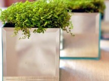 Forte Vidro - Imagens