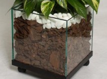 Forte Vidro - Imagens